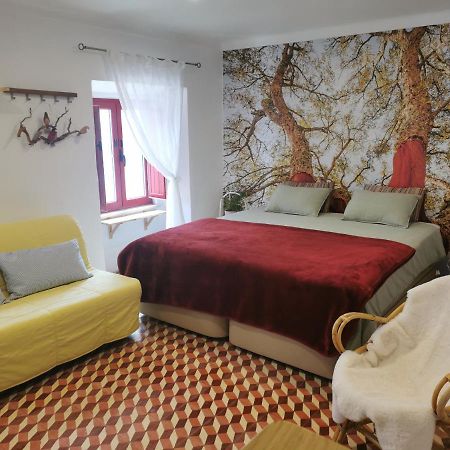 Apartmán 4Bs - Birds & Bicycles Castro Verde Exteriér fotografie