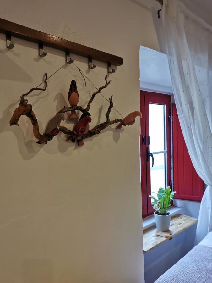 Apartmán 4Bs - Birds & Bicycles Castro Verde Exteriér fotografie