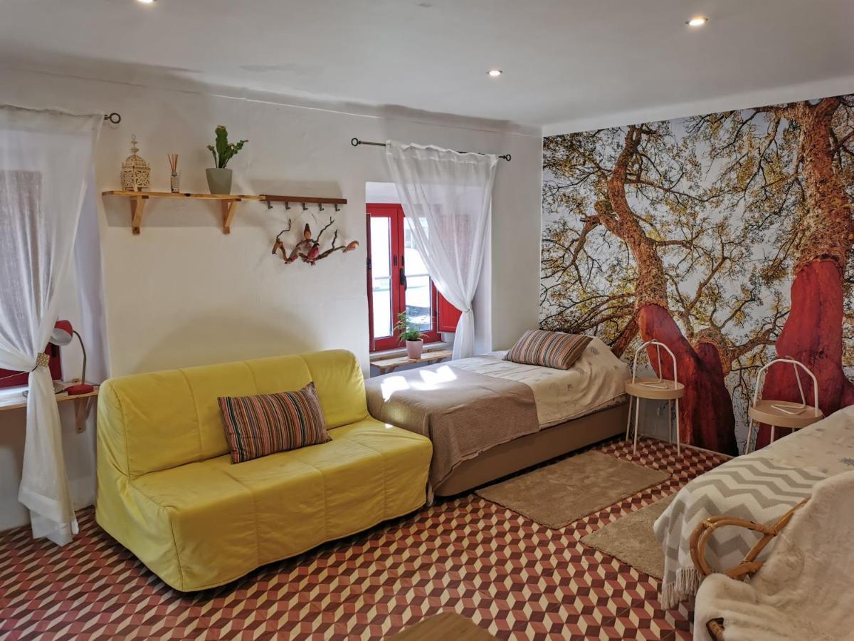 Apartmán 4Bs - Birds & Bicycles Castro Verde Exteriér fotografie