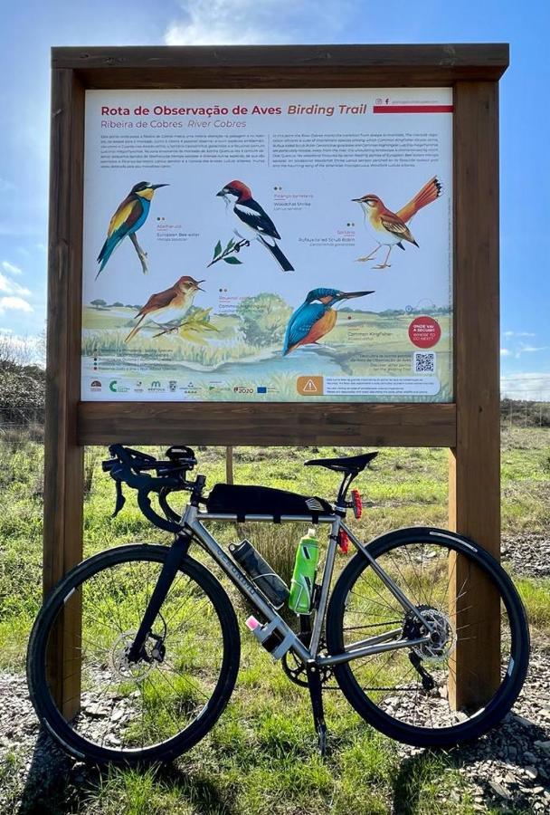 Apartmán 4Bs - Birds & Bicycles Castro Verde Exteriér fotografie