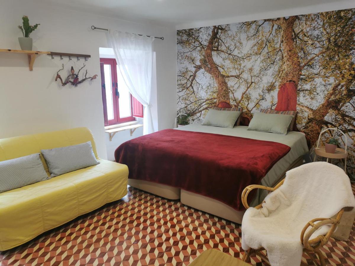 Apartmán 4Bs - Birds & Bicycles Castro Verde Exteriér fotografie